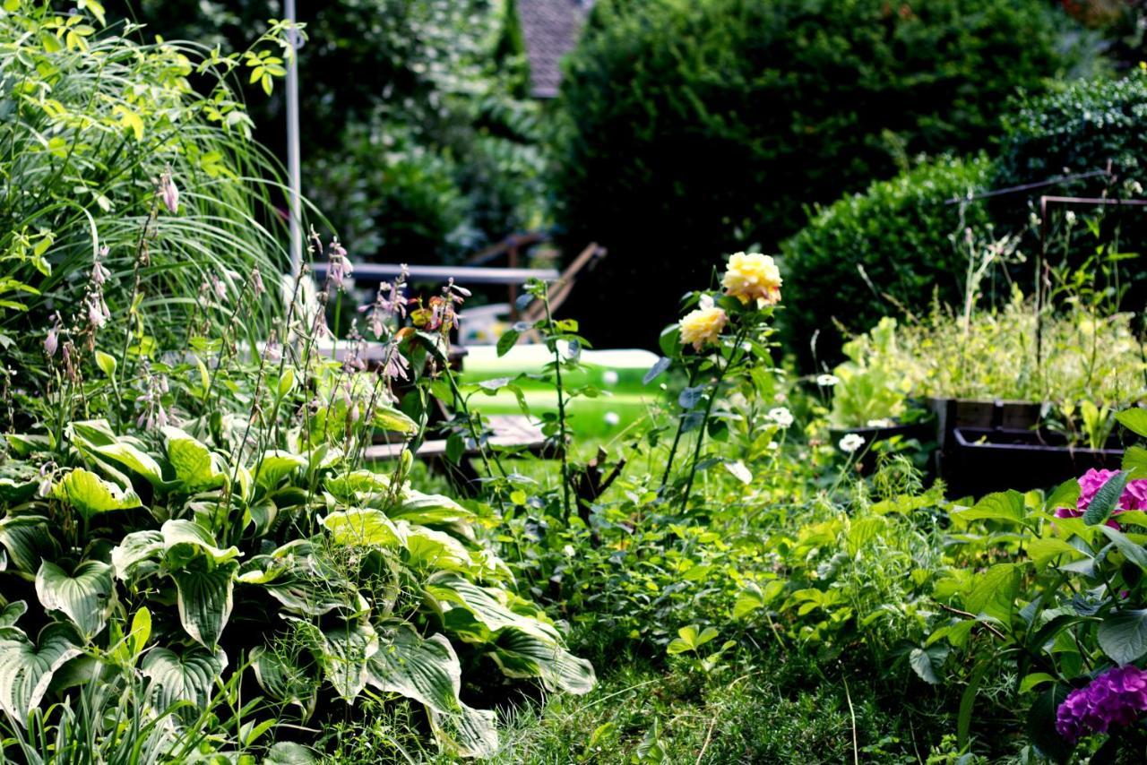 Souterrainwohnung Mit Grossem Garten Und Sauna Kassel Eksteriør bilde